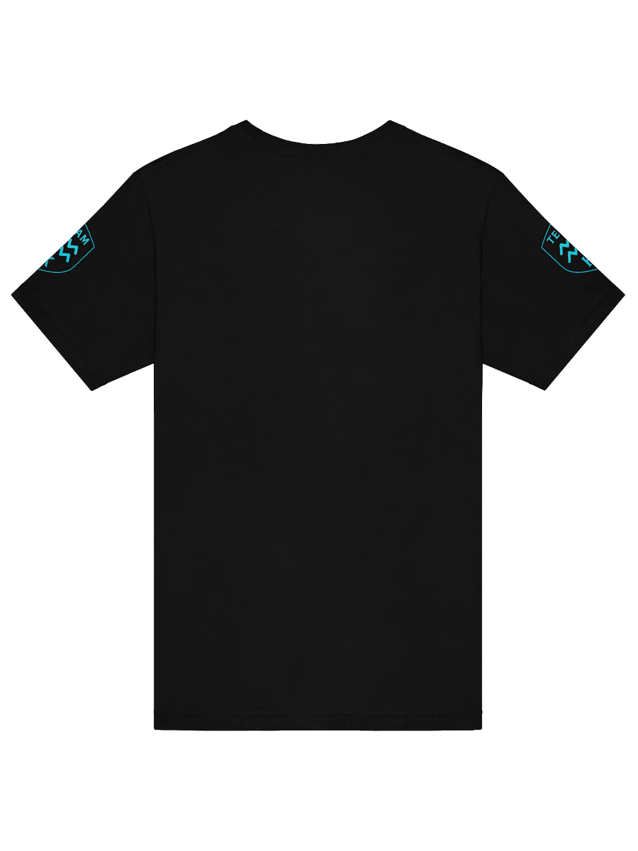 TEAM K Aquarius ZODIAC T-Shirt product image (2)