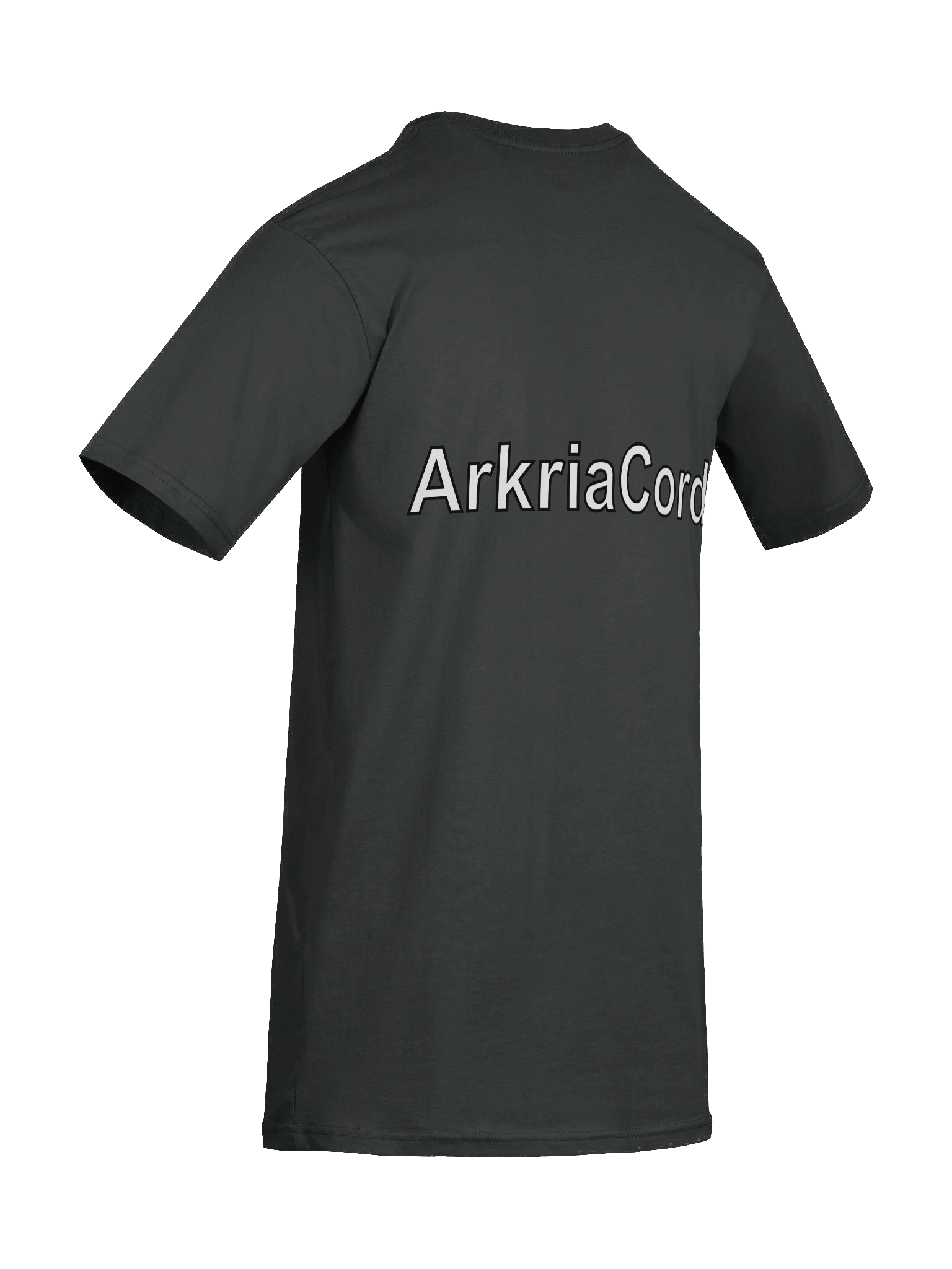 ArkriaCord Logo Heavyweight Men's Premium Tee product image (67)