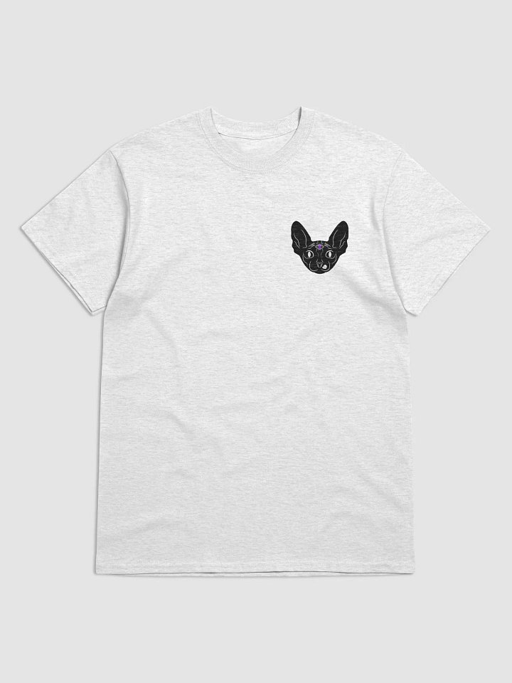 LUCIEN graphic T product image (3)