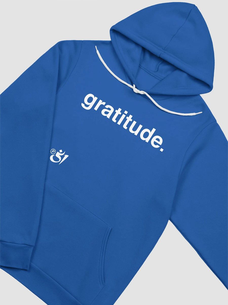 gratitude. hoodie product image (3)