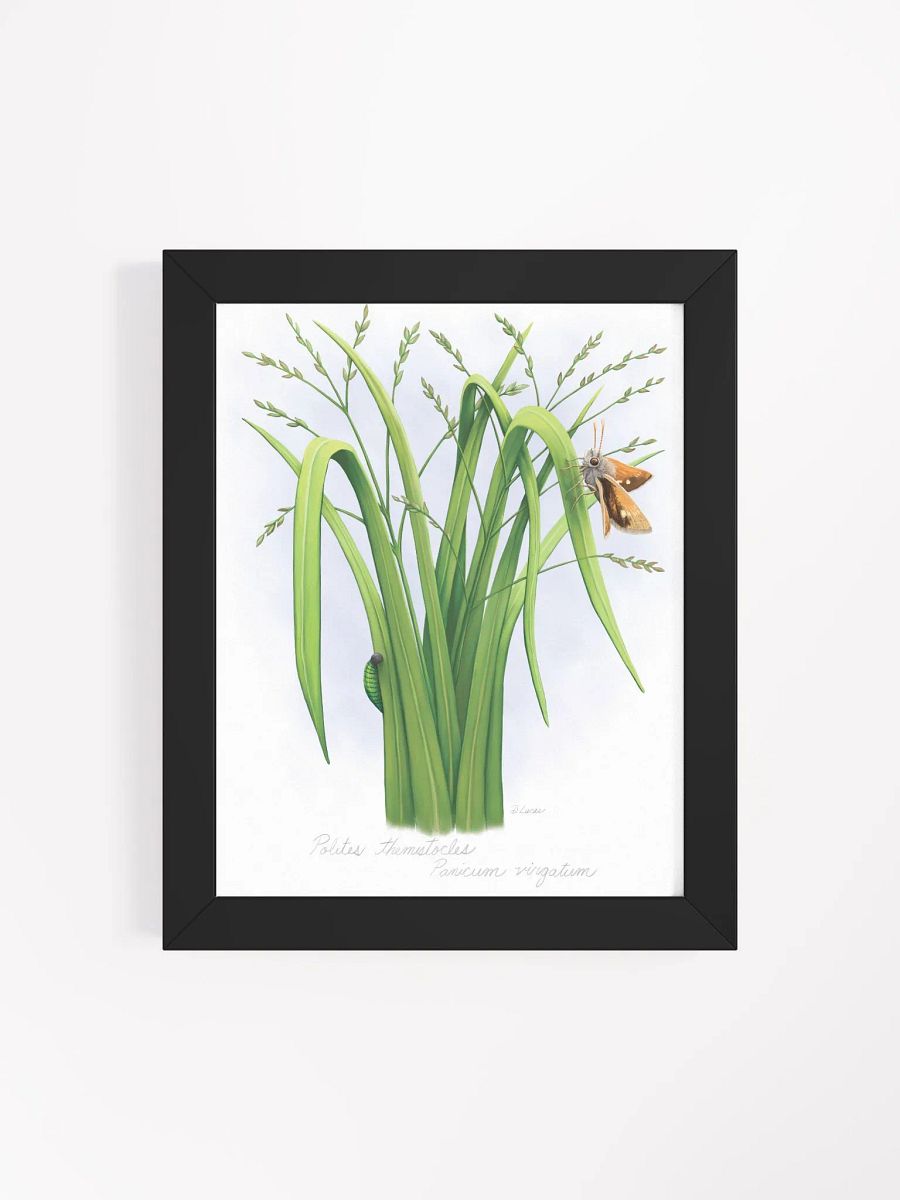 Skipper Butterfly product image (39)