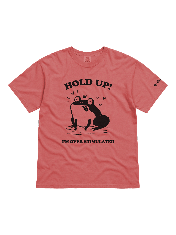Hold up I'm overstimulated - Shirt product image (6)
