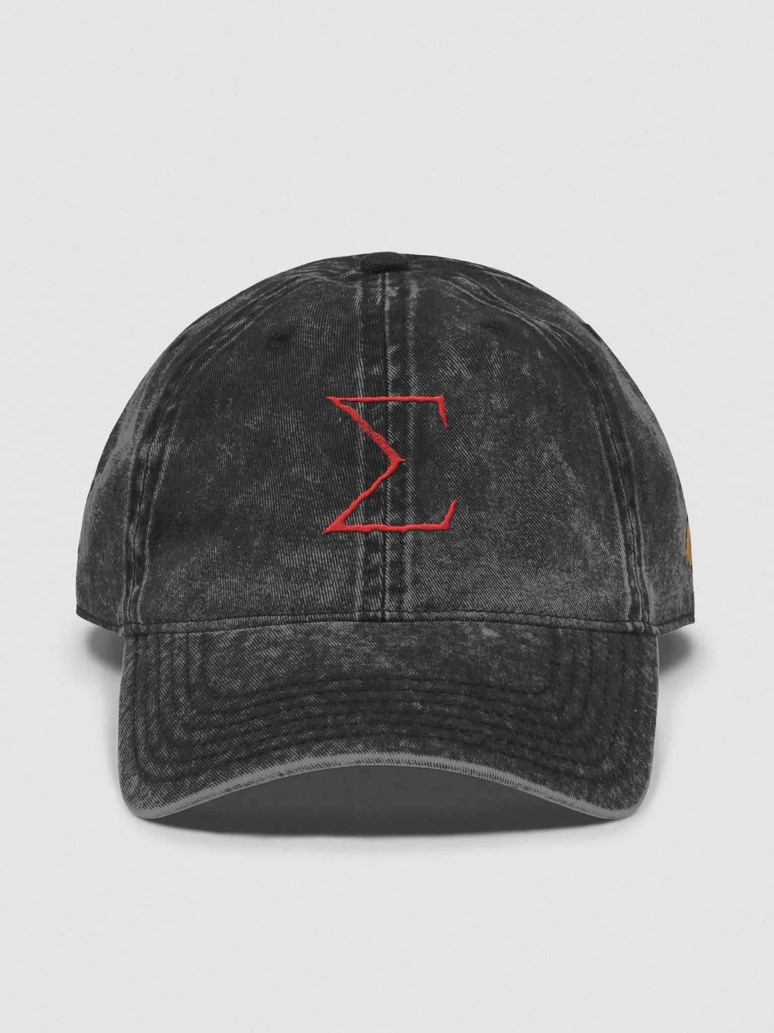 Retro Revival Vintage Sigma Logo Dad Hat product image (4)