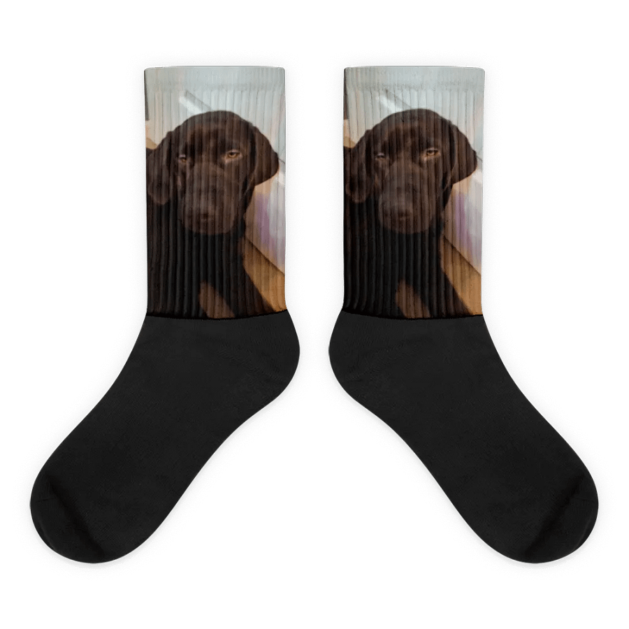 Wwww product image (1)