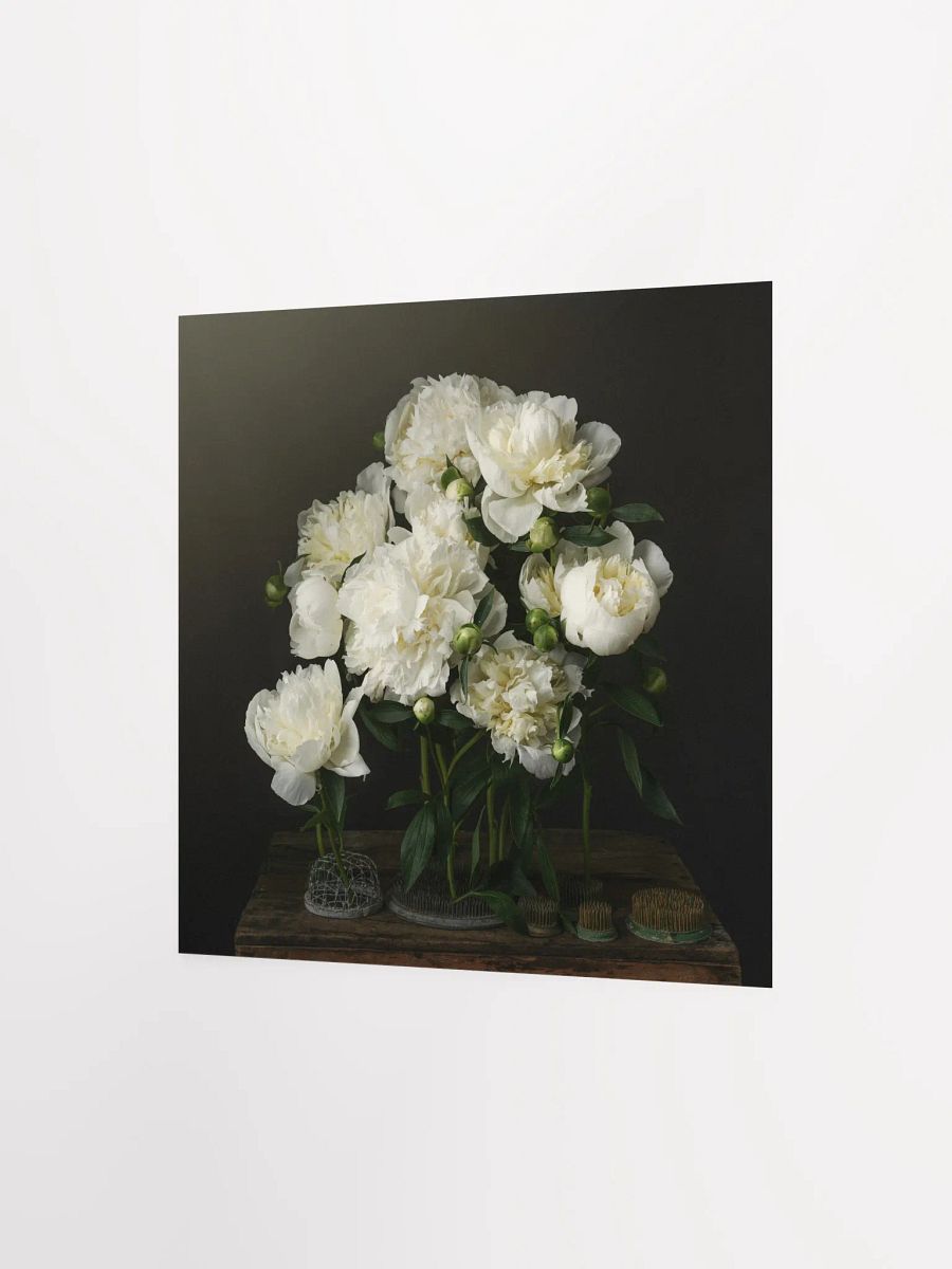 White Peonies product image (3)