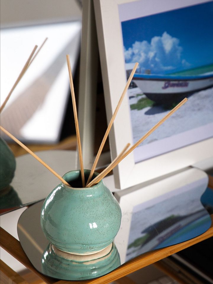 Aqua Reed Diffuser product image (1)
