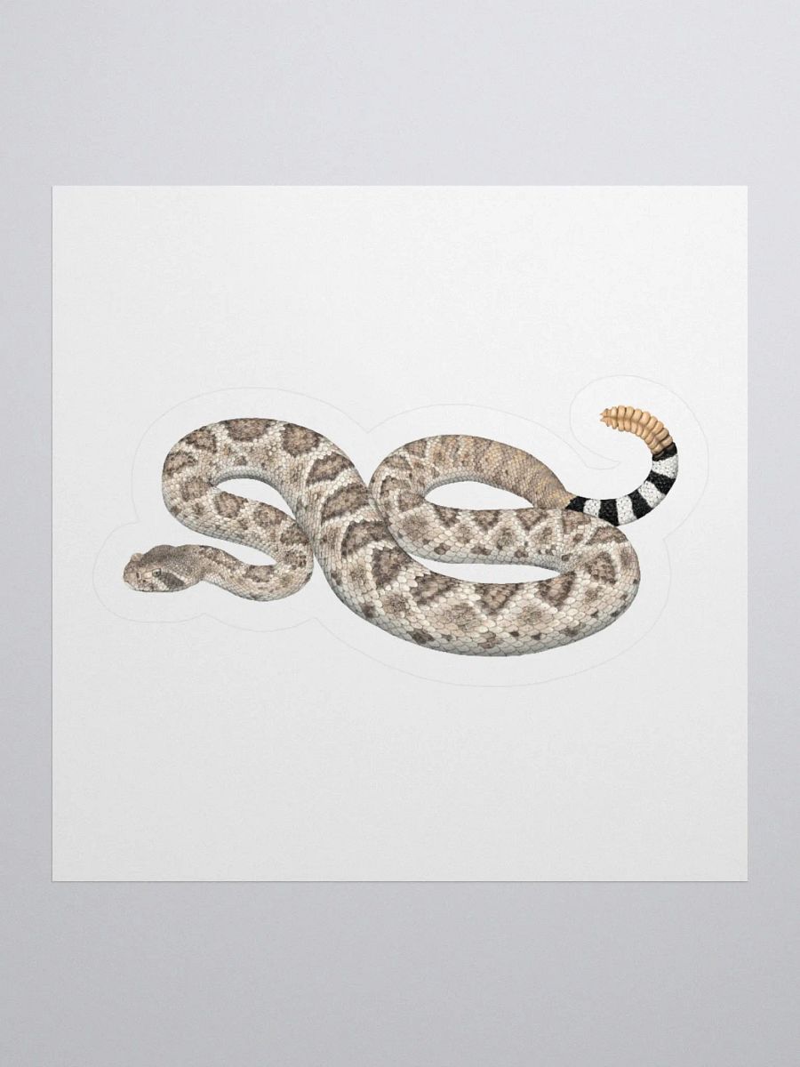 Die Cut Sticker – Western Diamondback Rattlesnake product image (1)