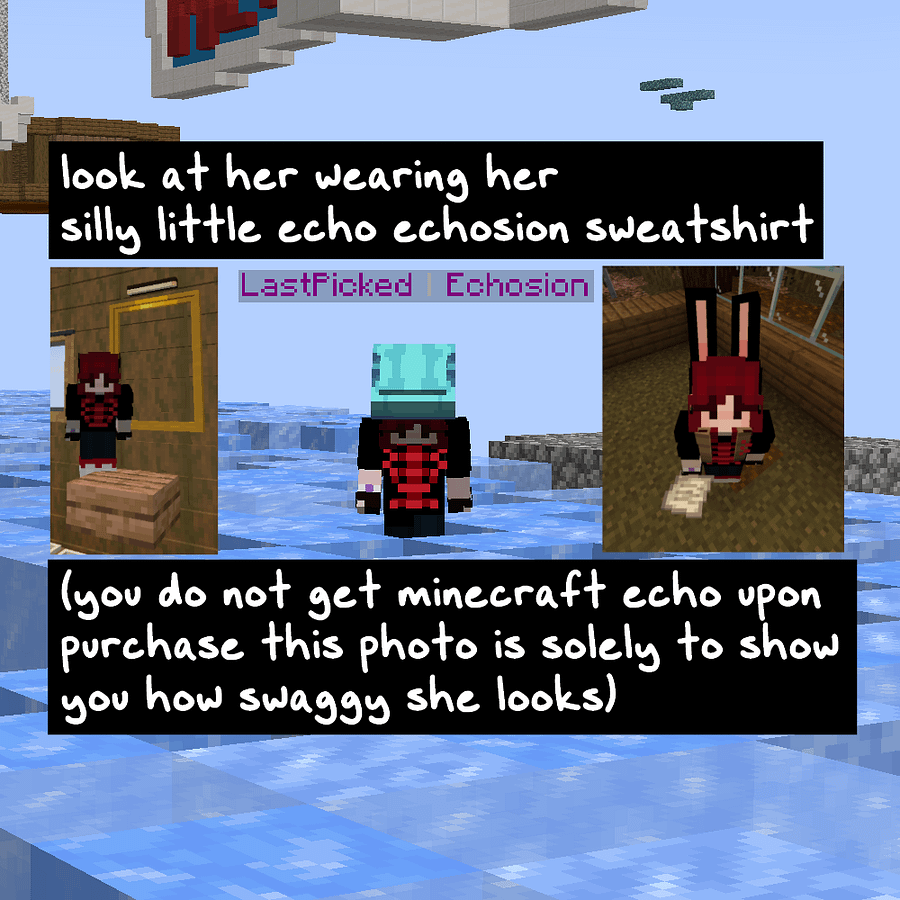 Echo Sweatshirt product image (4)