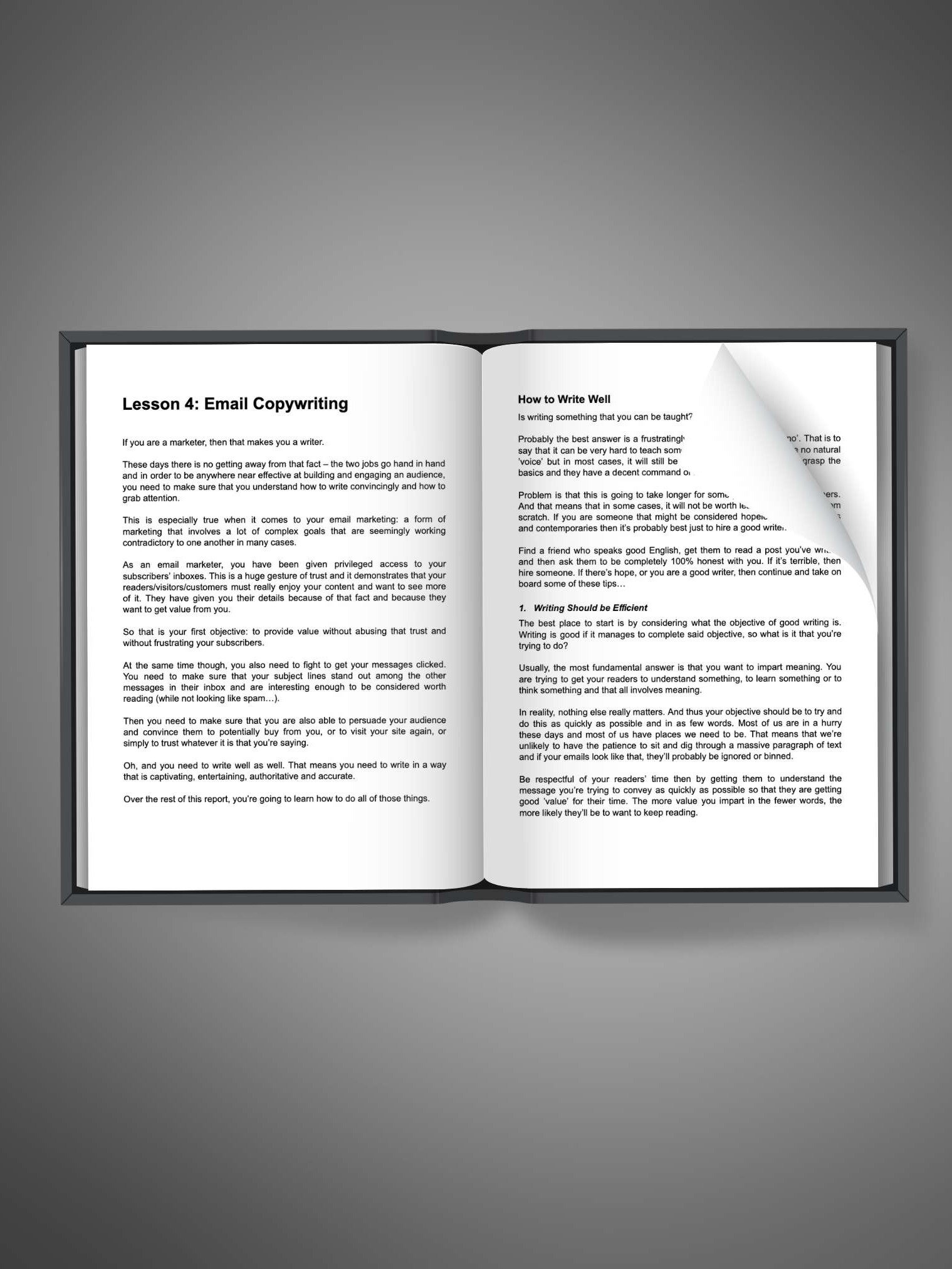Email List Guru: 5 Killer Strategies to Skyrocket Your Marketing product image (3)