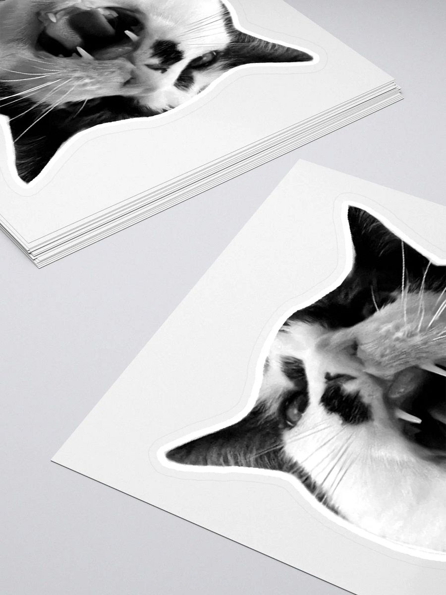 LOIN - Sticker product image (4)
