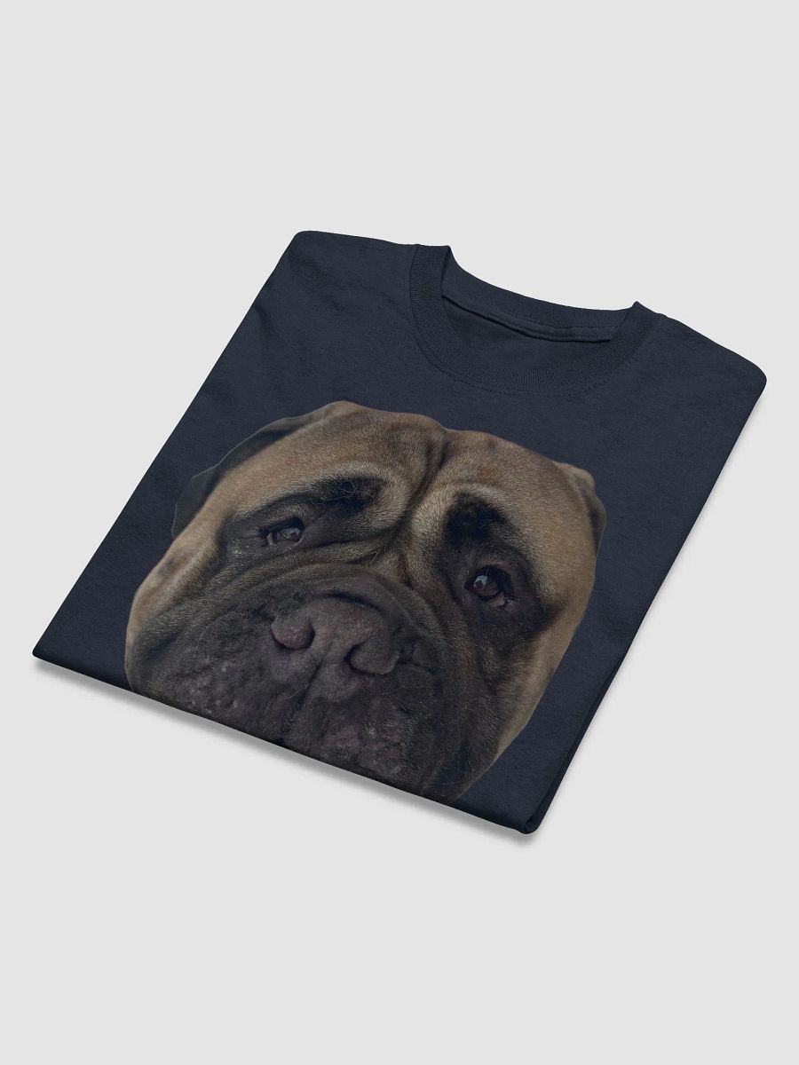 Big Head Meech product image (16)
