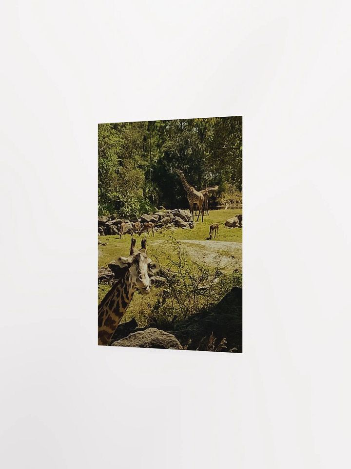Giraffe Sanctuary product image (17)