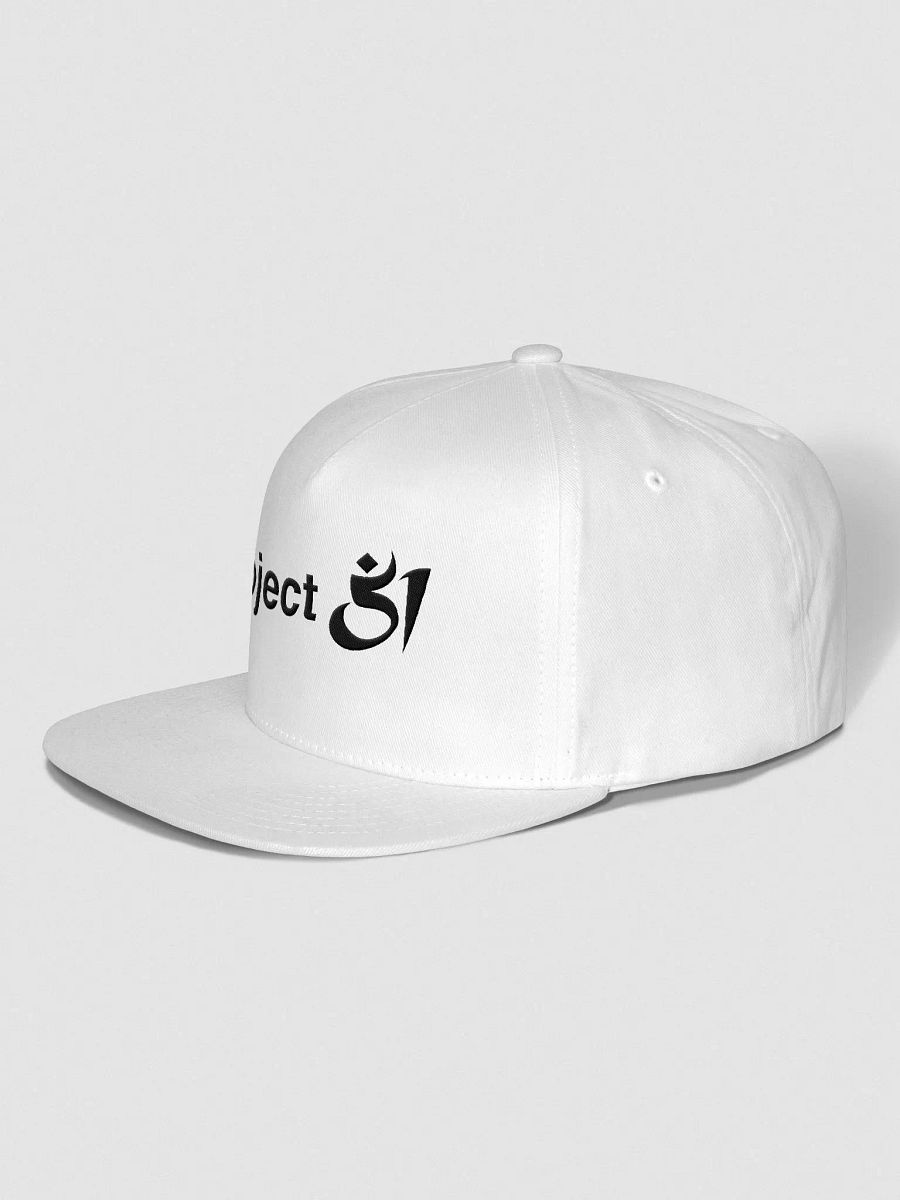 Project 51 snapback product image (2)