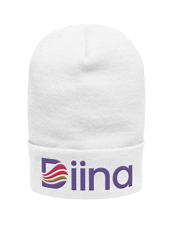 Diina Logo Embroidered Beanie product image (1)