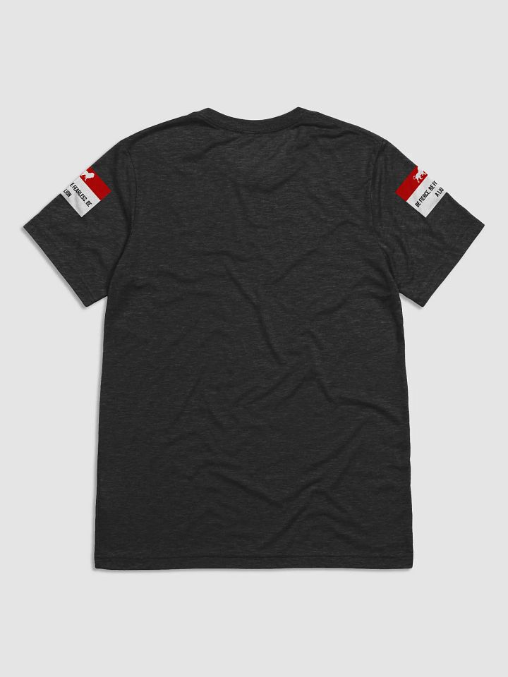 Lioness Spirit Triblend Tee product image (16)