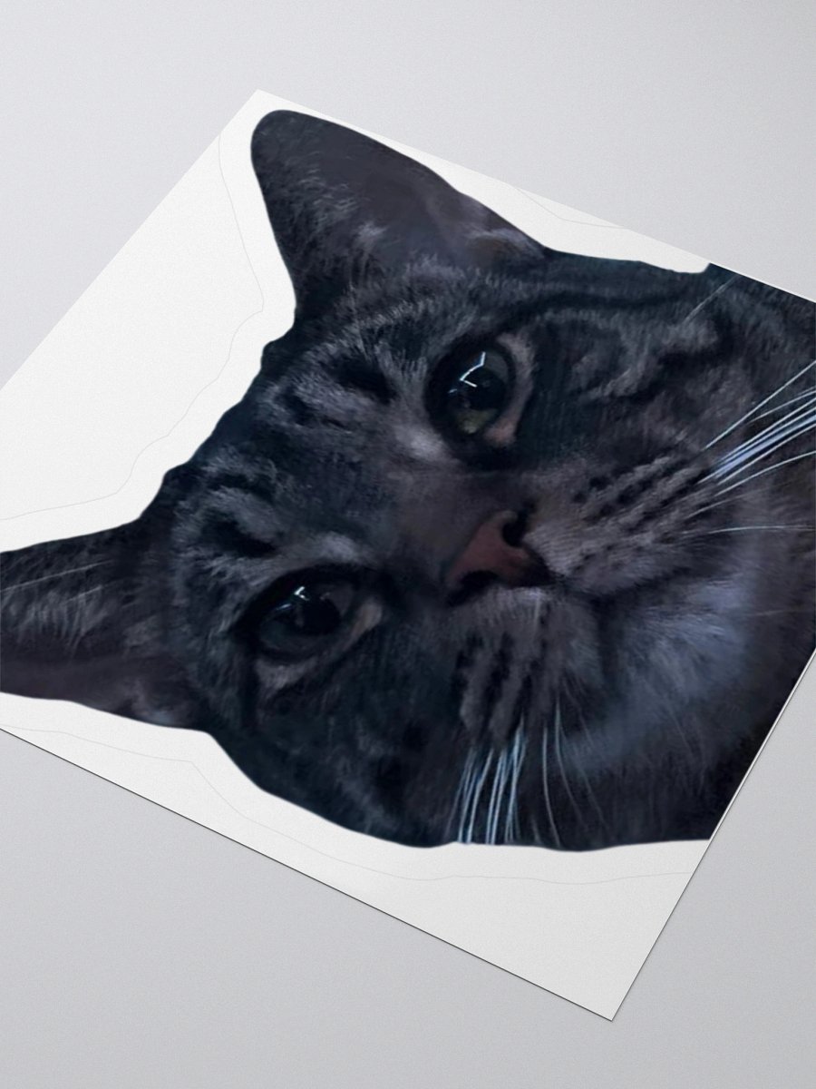 Chewie Sticker product image (7)