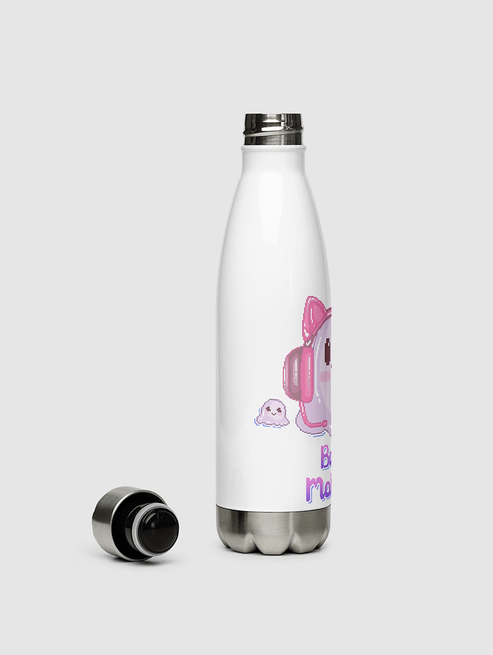 Stainless Steel Water Bottle product image (2)