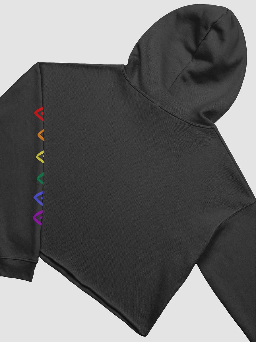 just a little gay crop hoodie product image (4)
