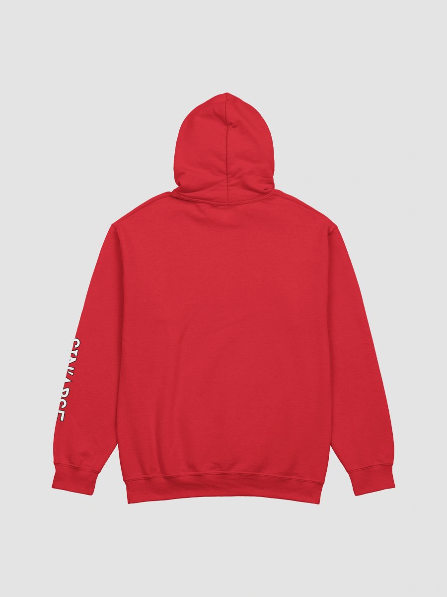 LB hoodie product image (5)