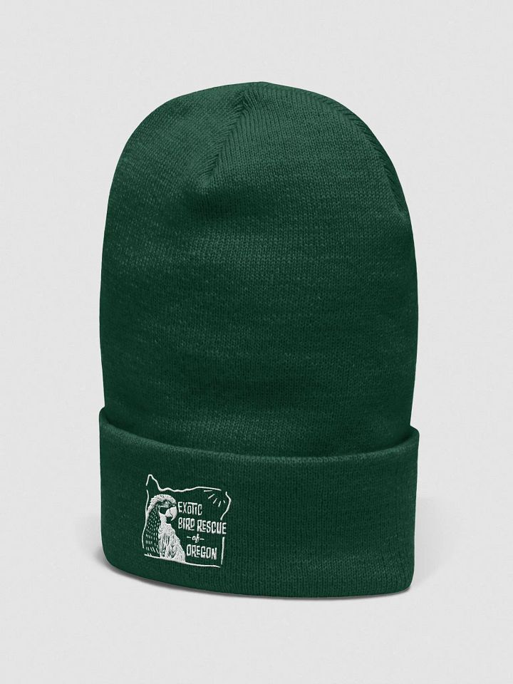 EBR Logo Beanie product image (2)