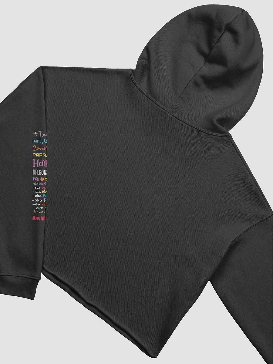2023 Community Crop Hoodie product image (8)