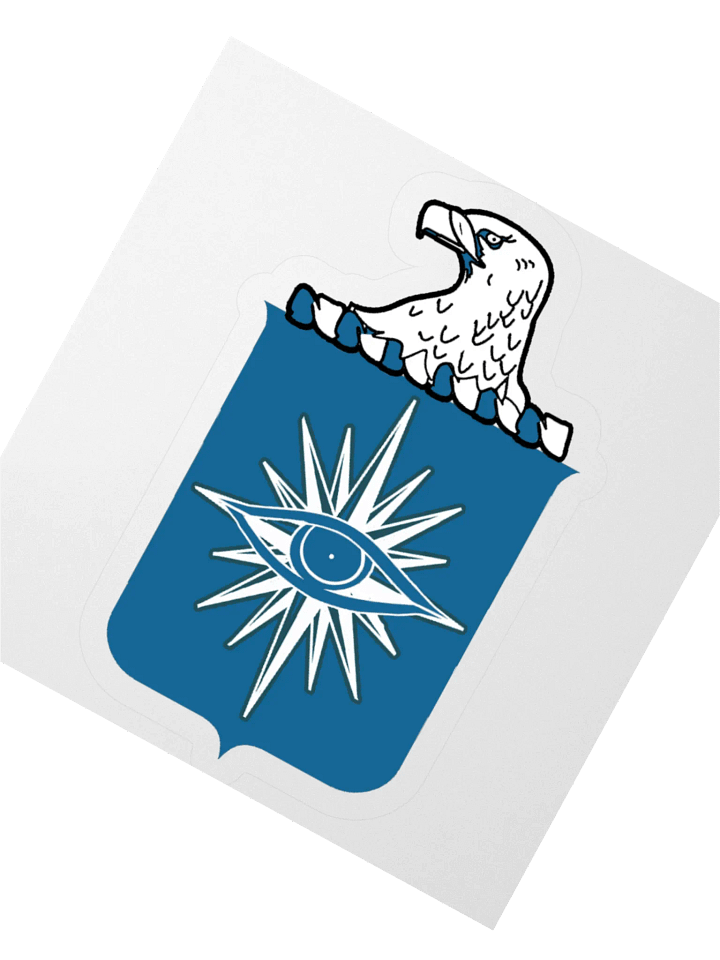 CIA Peace Corps STICKER product image (2)
