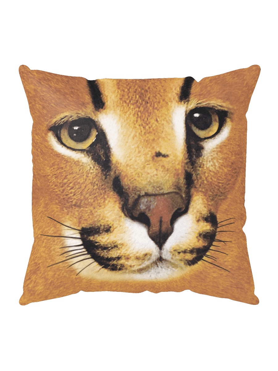 DOUBLE SIDED "FLOPPA FACE" PILLOW product image (5)