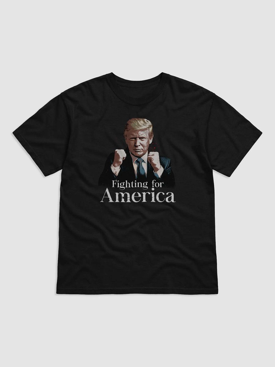 Fighting for America product image (2)