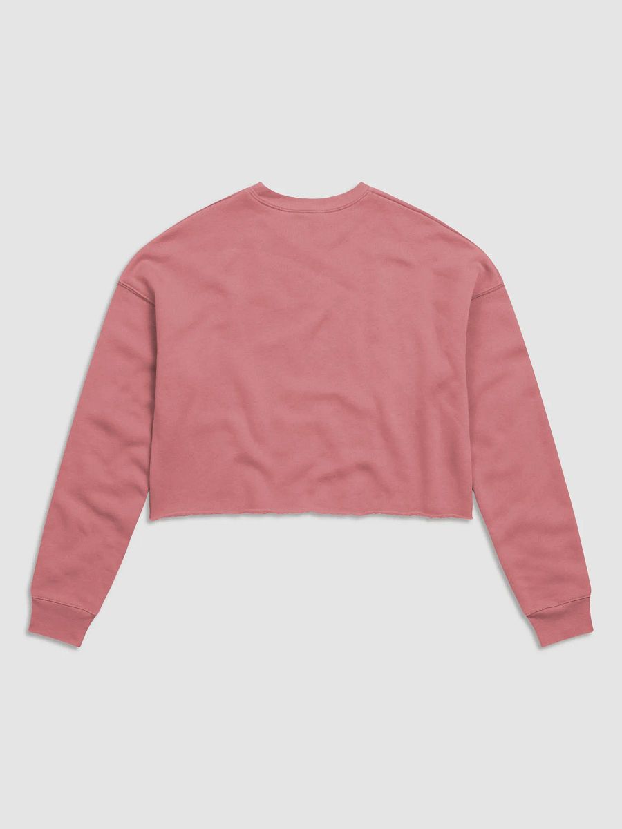 ESA Aerial Silhouette Women's Crop Sweatshirt product image (2)