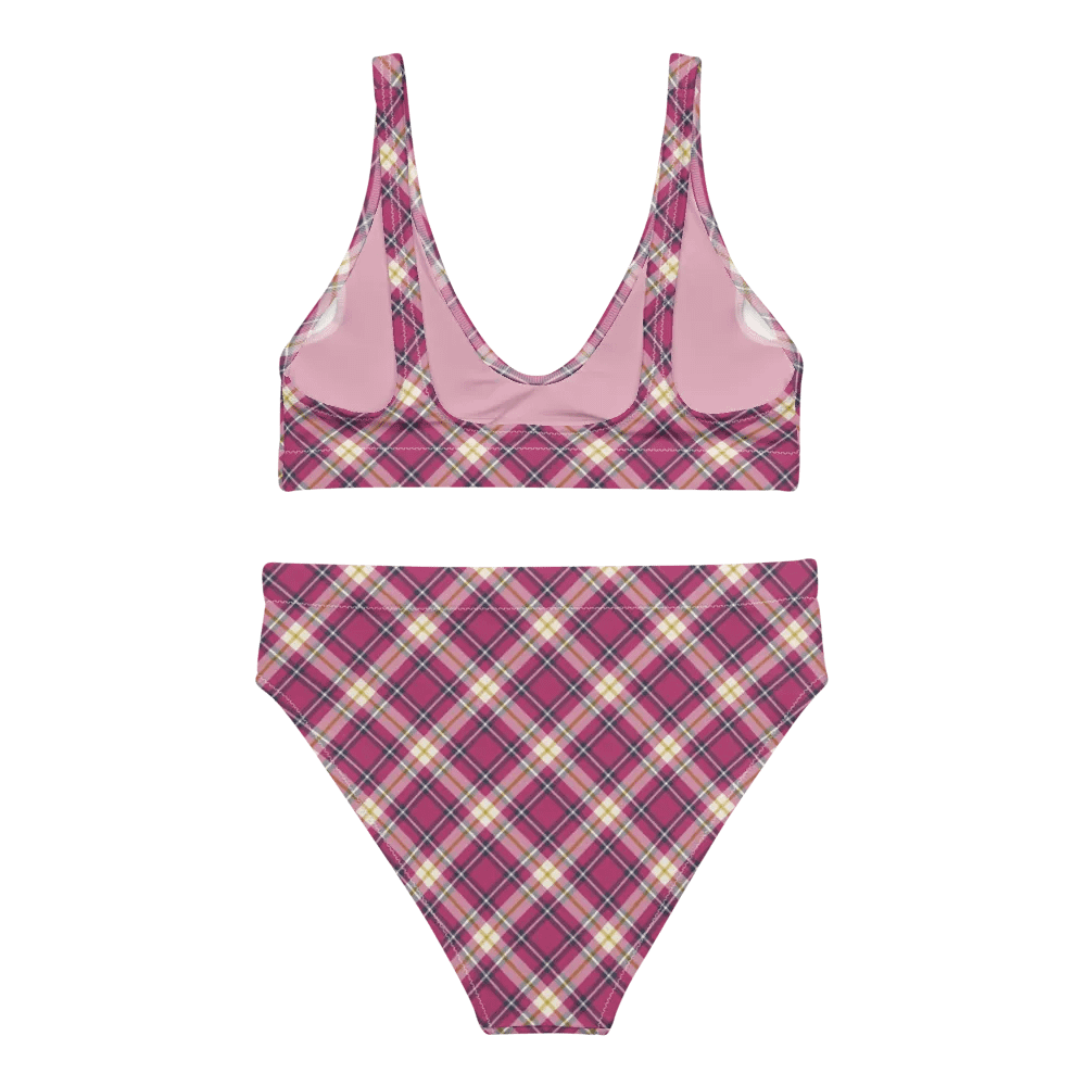 Raspberry Pink and Navy Plaid Bikini product image (4)