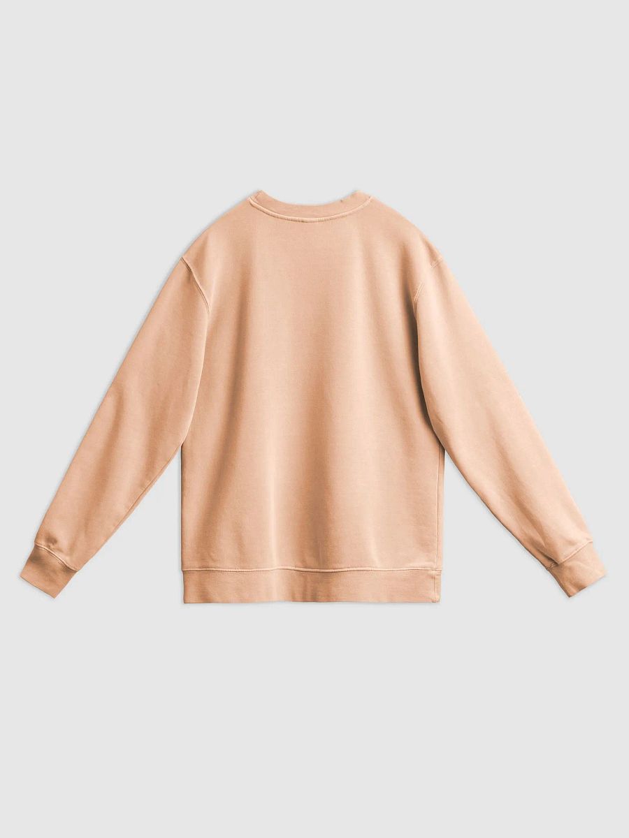 Sweatshirt (Red) - Sunny Side Up product image (3)