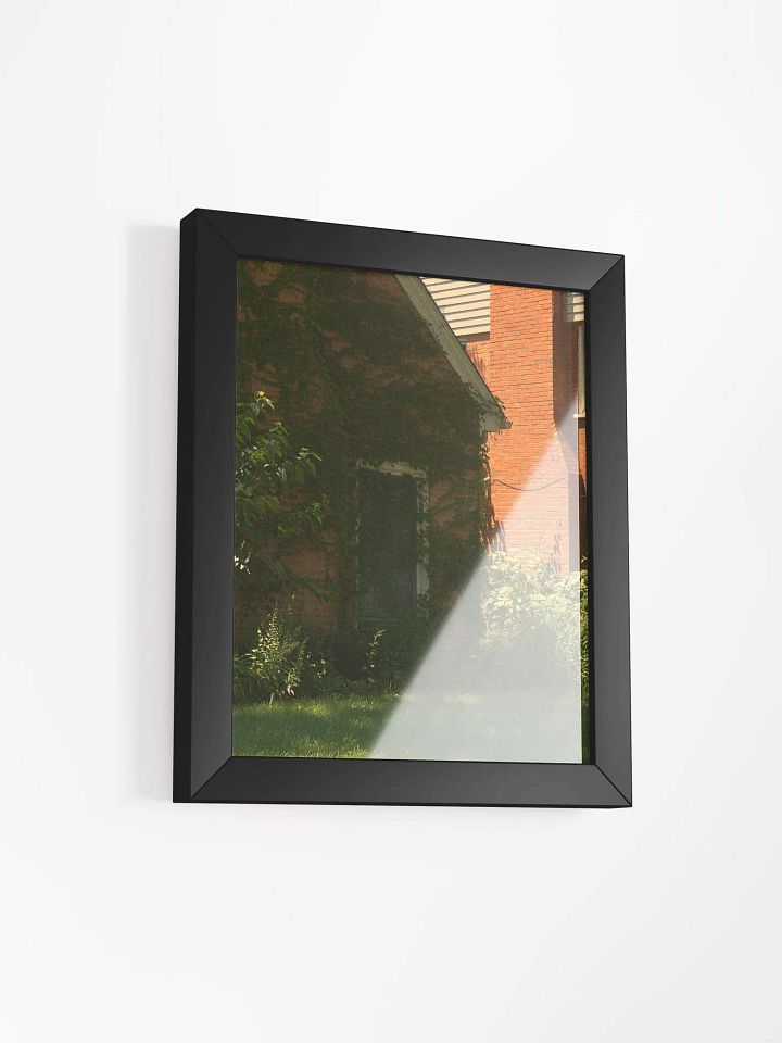 Overrun (framed) product image (8)