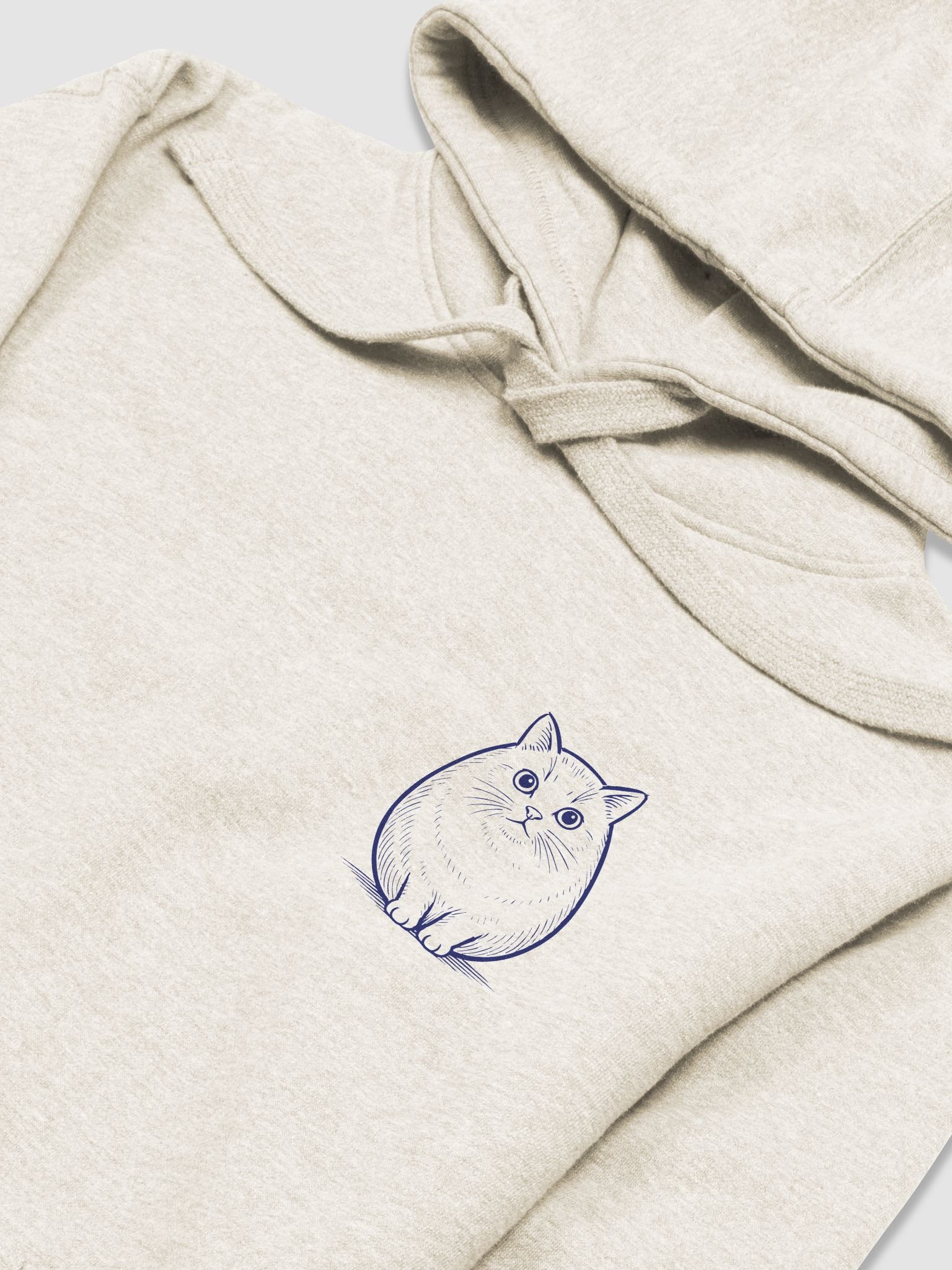 Cat product image (23)