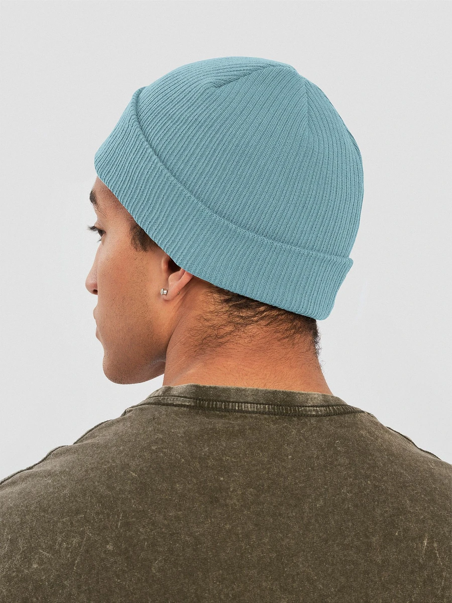 The Happy Swinger beenie product image (14)