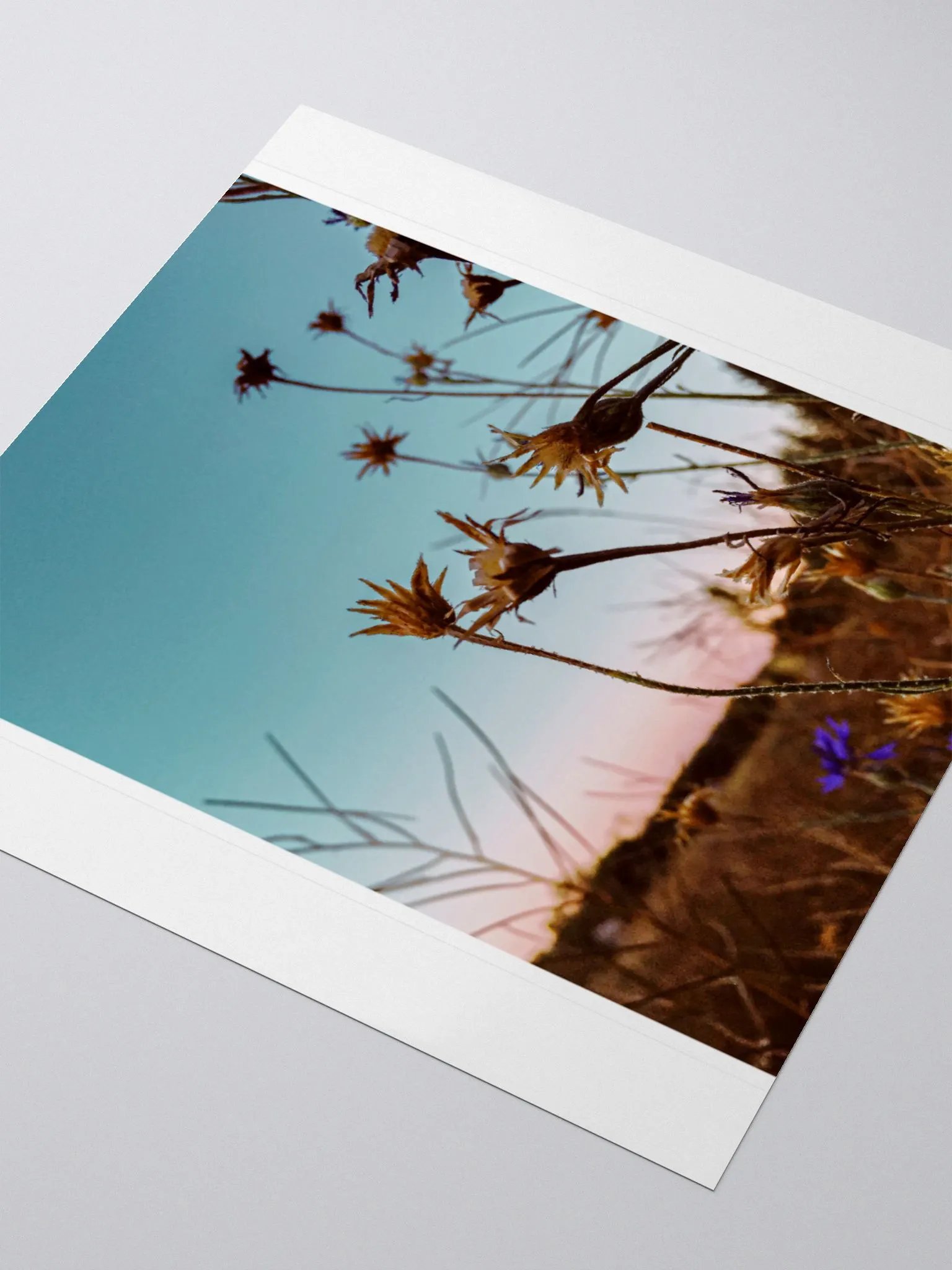 Wildflowers at Sunrise Sticker product image (3)