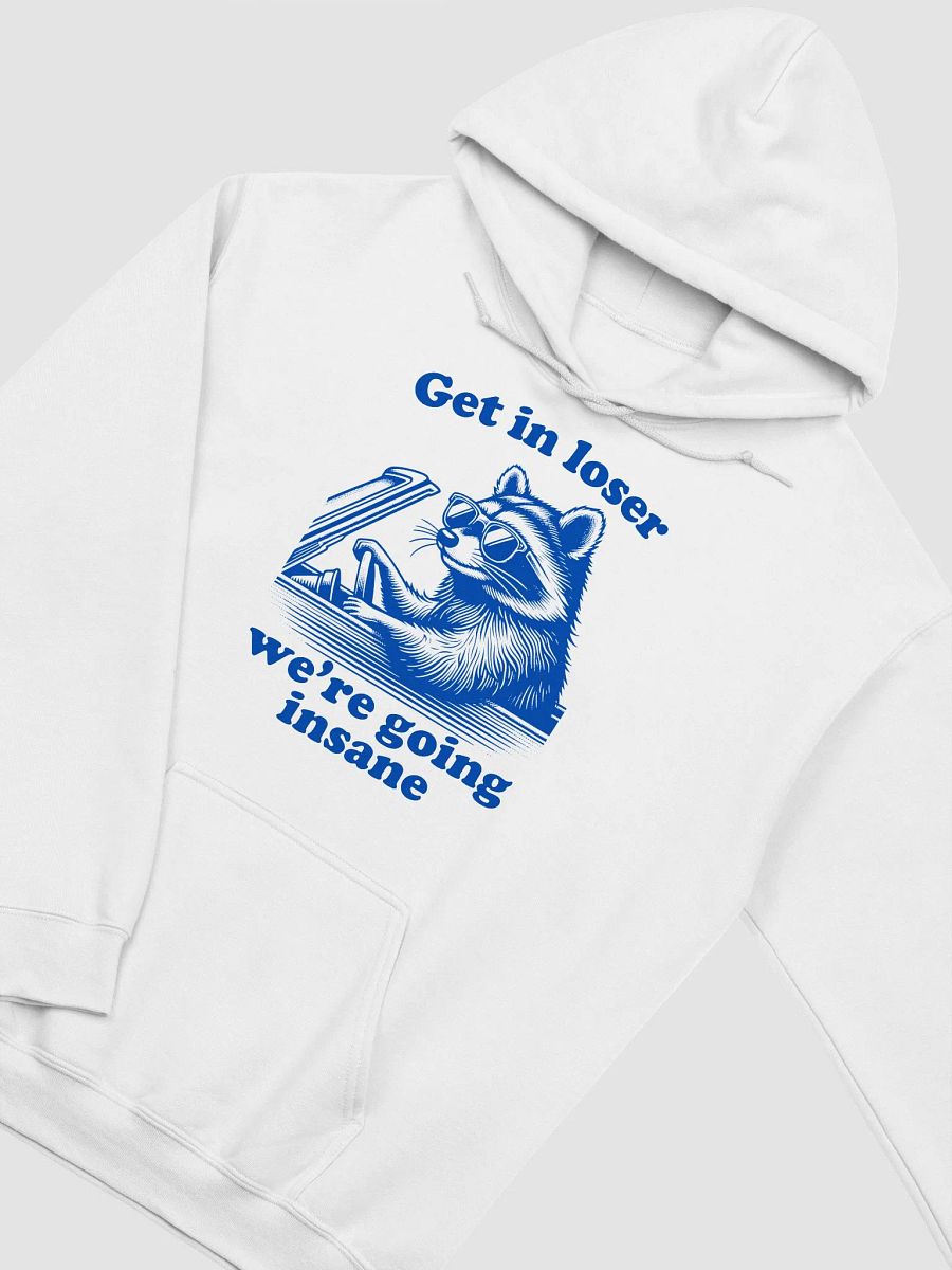 Get in loser we're going insane Hoodie product image (3)