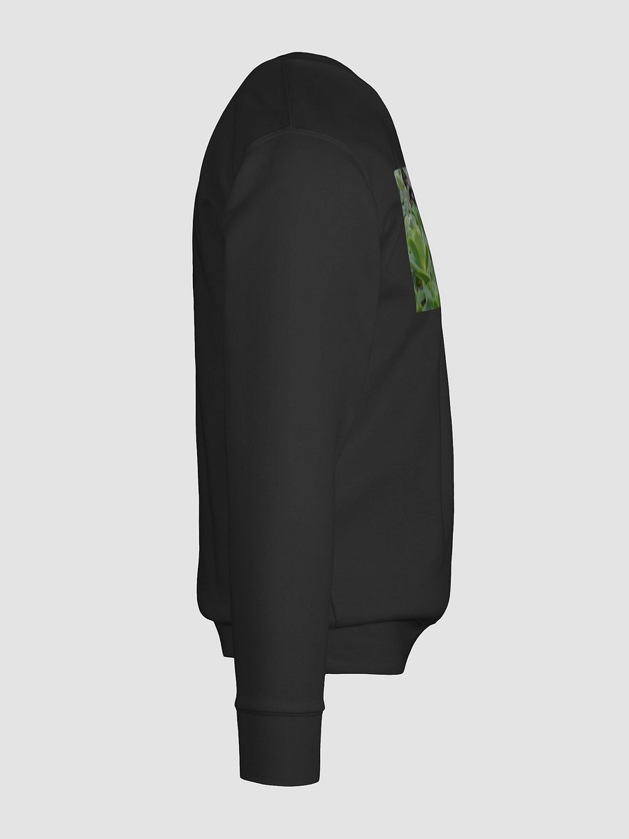 Verdant Oasis Cotton Sweatshirt product image (12)
