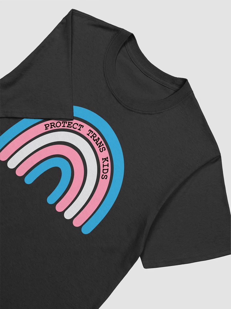 Protect Trans Kids Tee product image (3)