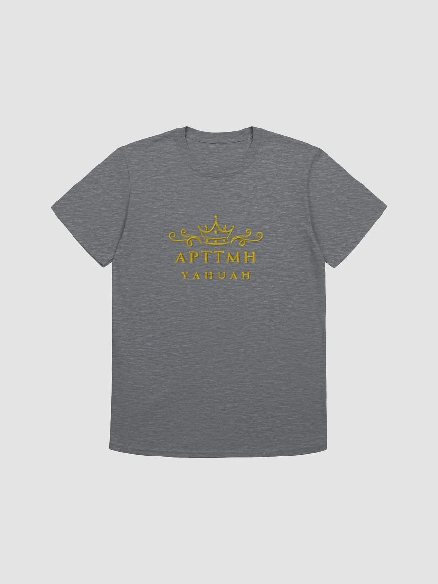Vintage 'APTTMH T-Shirt product image (6)