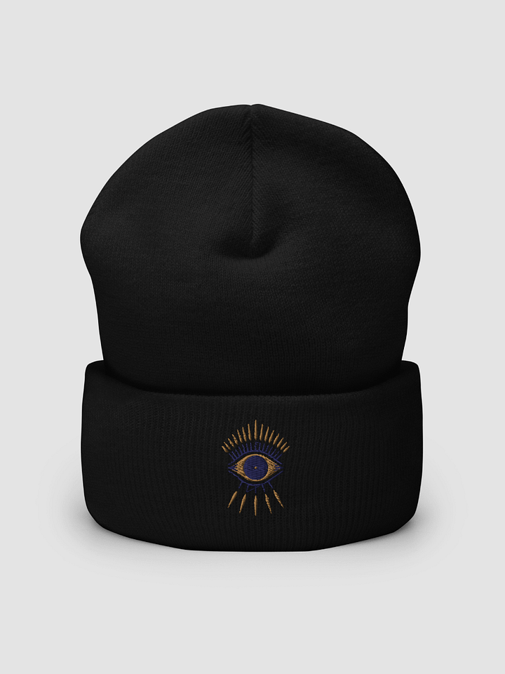 Visiionz Logo Embroidered Cuffed Beanie product image (2)