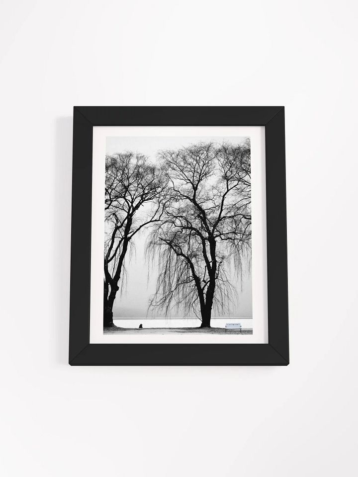 SOLACE IN THE MIST product image (2)