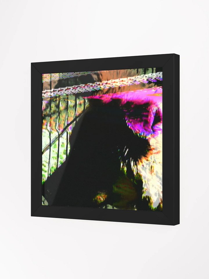 Ms Chimkin (German Shepherd) product image (2)