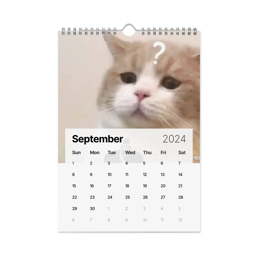 Wall Calendar (2024): Meme Cats product image (18)