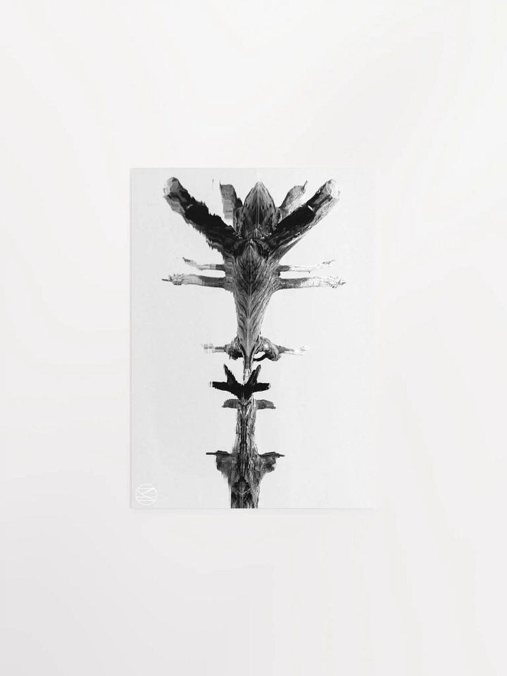 Symmetry Print product image (2)