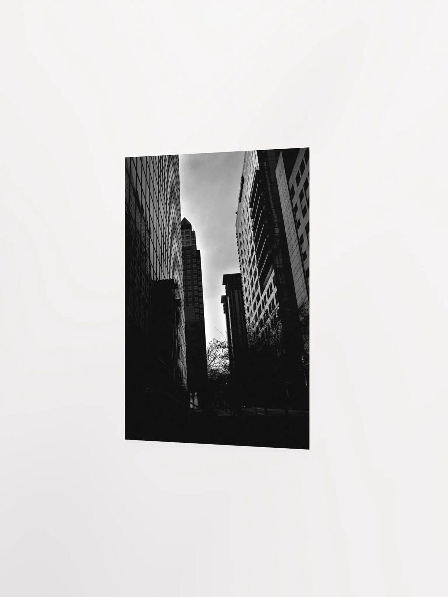 Downtown Orlando 3 product image (15)