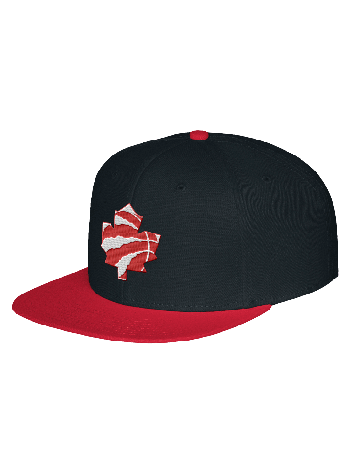 Toronto Dinos Snap product image (2)