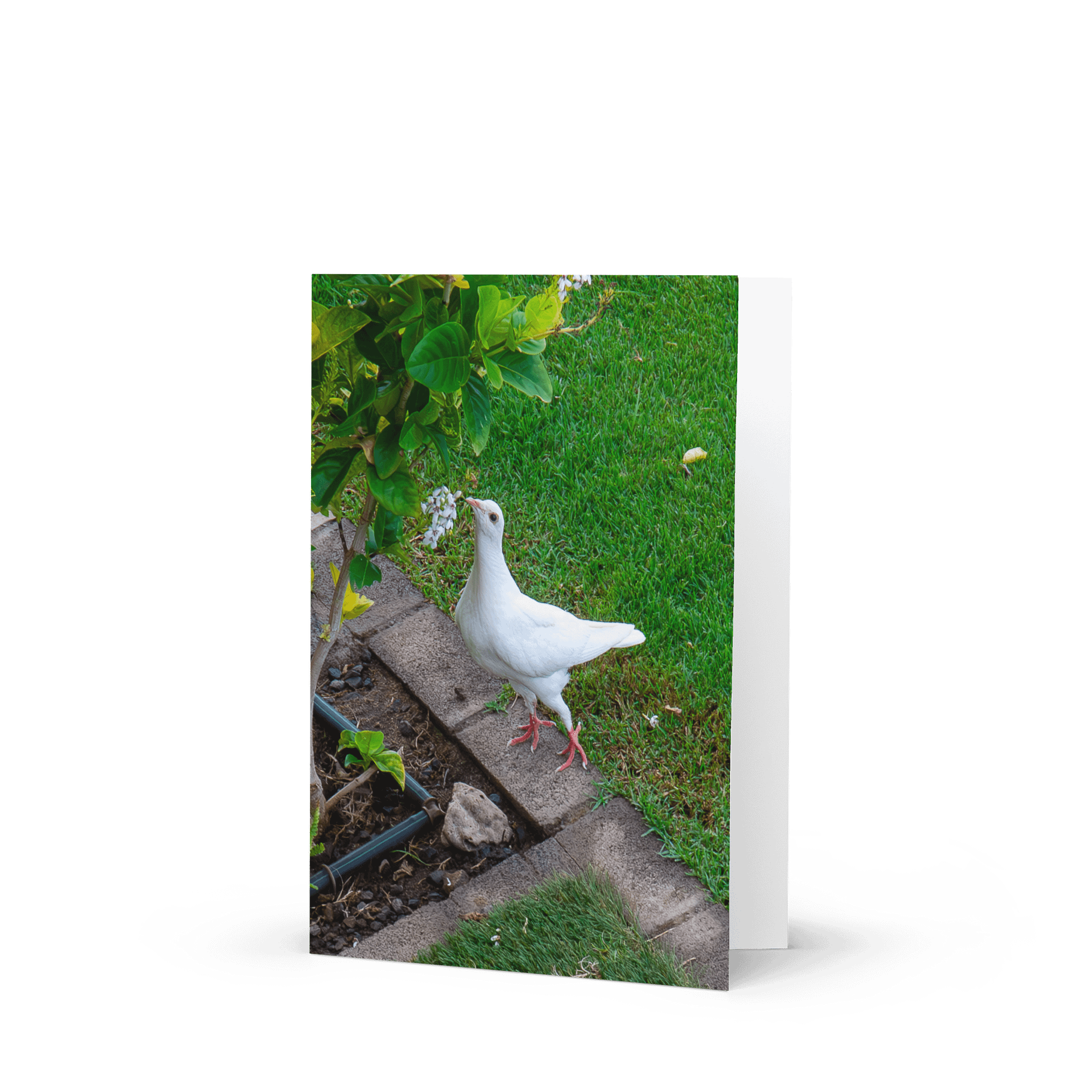 High Hopes Greeting Card product image (1)