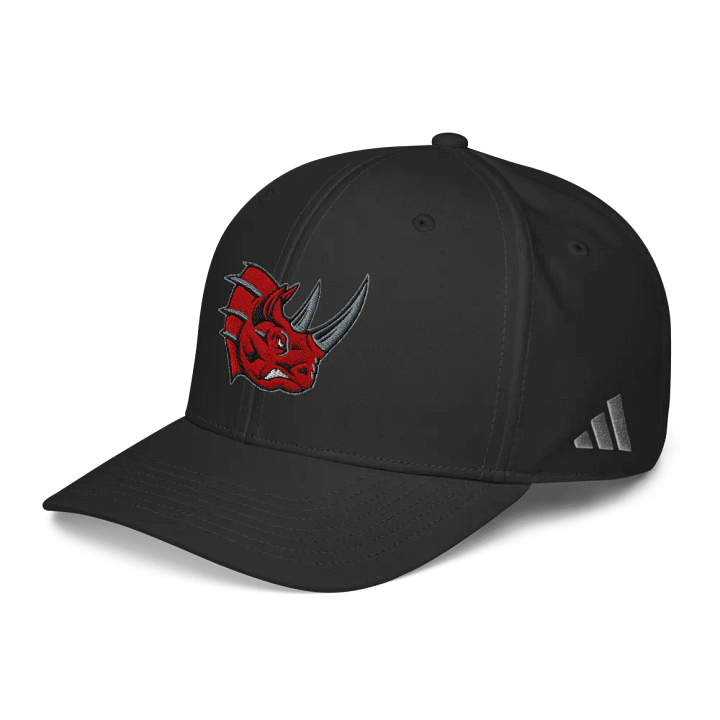 Grand Rapids Rampage Adidas Performance Hat product image (5)