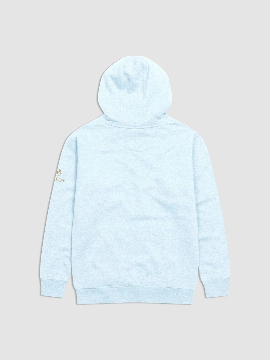 Avalon Cotton Heritage Unisex Premium Hoodie product image (8)