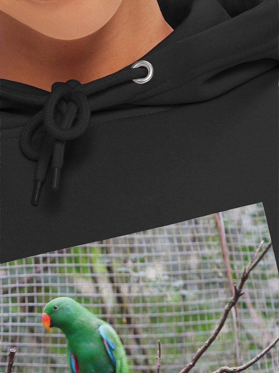 Vibrant Parrot Perch Hoodie product image (7)